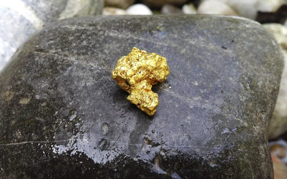 Новосибирская компания начнёт добывать золото в Горном Алтае