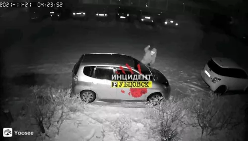 Житель Рубцовска топором повредил припаркованный у дома автомобиль