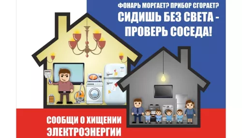 В Алтайском крае накажут похитителей электроэнергии