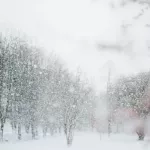 Снег, метели, гололед и дневной минус: в Алтайский край постучалась зима