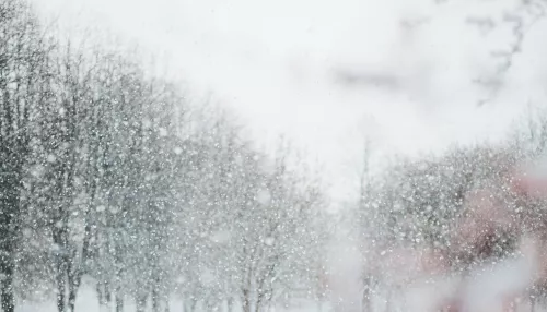 Снег, метели, гололед и дневной минус: в Алтайский край постучалась зима