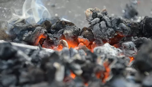Следком проверяет сообщения о дефиците угля в Алтайском крае