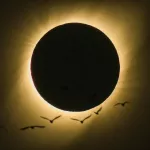 Астролог выделил знаки зодиака, на которые повлияет солнечное затмение 30 апреля