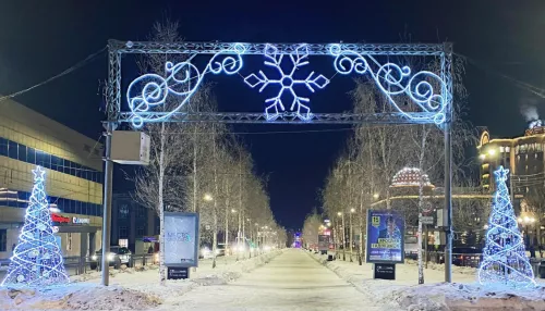 Барнаул засверкал новогодними огнями: где и как украсили город