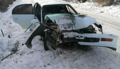 В Горном Алтае два пассажира иномарки пострадали после ДТП с деревом