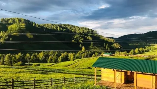 В Алтайском крае продают пантовое хозяйство с турбазой и лошадьми