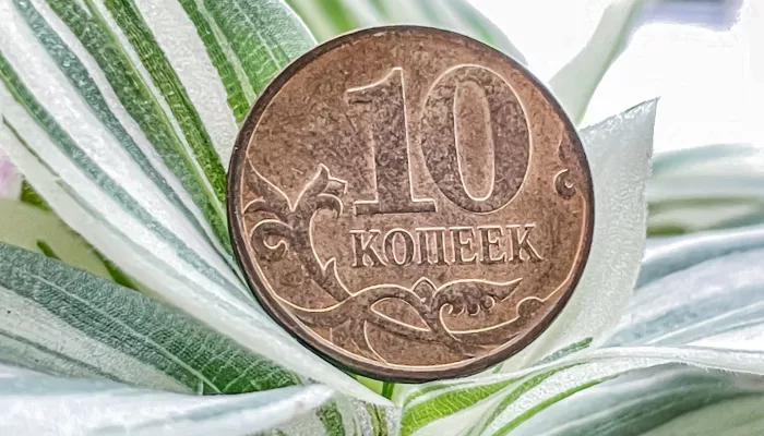 Какие ошибки могут отрицательно повлиять на будущую пенсию