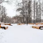 Потепление до +3 градусов пришло в Алтайский край 4 января