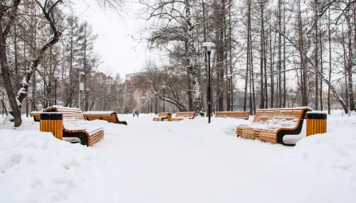 9 января в Алтайском крае сохранится теплая и снежная погода