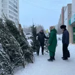 Сколько елочных базаров будет в Барнауле и когда они заработают