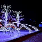 Световые фонтаны, сотни звезд, ёлки и фигуры украсили Барнаул