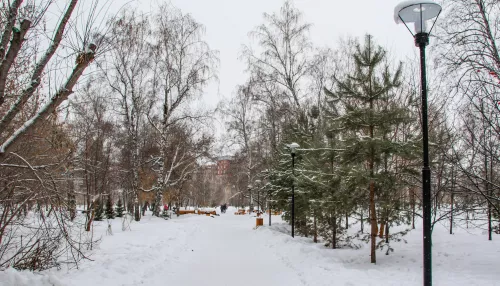Последняя неделя года начинается в Алтайском крае с легкого мороза и снега
