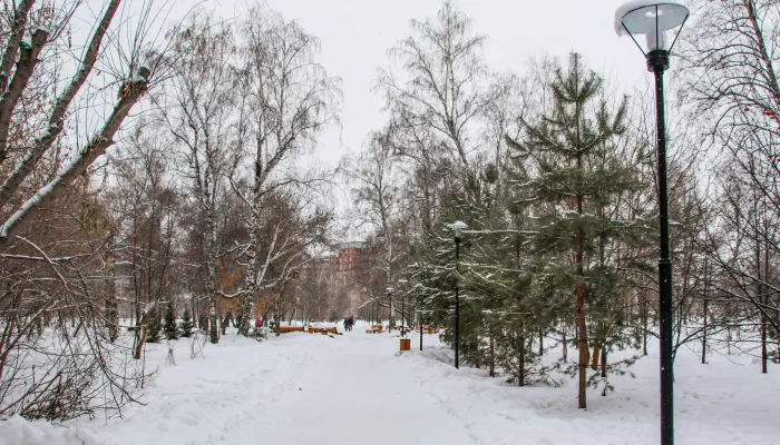 В Алтайском крае 29 ноября синоптики прогнозируют легкий мороз и утренний туман