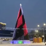 В Барнауле на площади Сахарова зажгли главную новогоднюю ёлку
