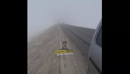 Водителей предупреждают о густом тумане на трассе Барнаул – Заринск