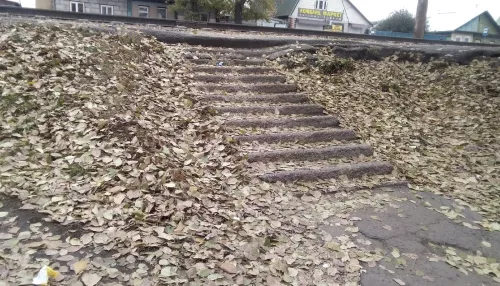 Барнаульцы вслед за горками предлагают снести неправильные лестницы
