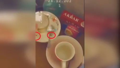 Они везде!: на Алтае сняли на видео кишащую тараканами палату детской больницы