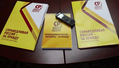 Нужно масштабное решение. Социалисты за прогрессивную шкалу налогообложения