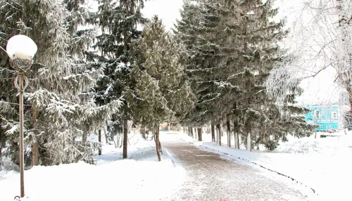 Немного теплее за окном: в Алтайском крае 3 декабря ожидается около -18 градусов