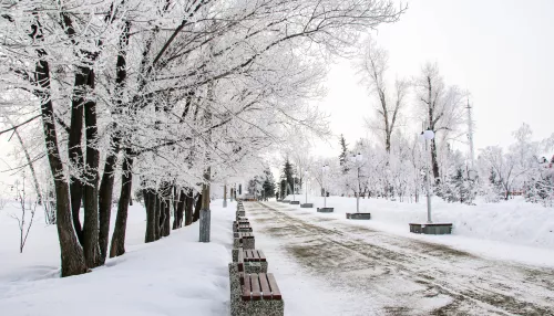 Мокрый снег с дождем и до +6 градусов ожидается в Алтайском крае 16 января