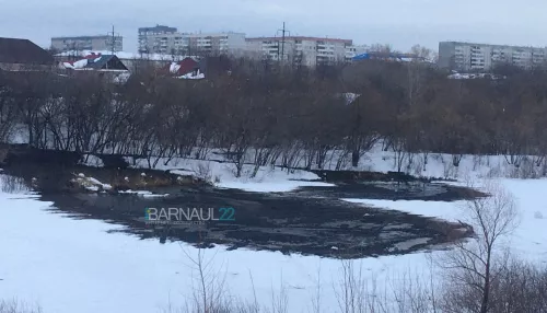 Барнаульцы ужаснулись состоянию городского озера с фекалиями