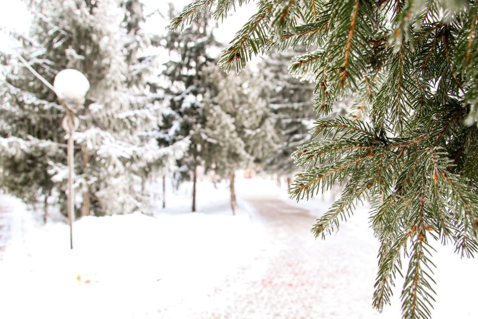 Погода. Зима. Снег.