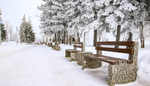 Снег, метели и ветер накрыли Алтайский край 15 февраля