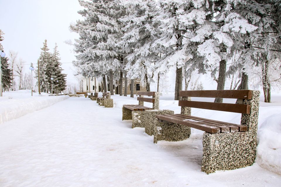 Погода. Зима. Снег.