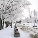 Мороз до -26 градусов ударит по Алтайскому краю 21 ноября