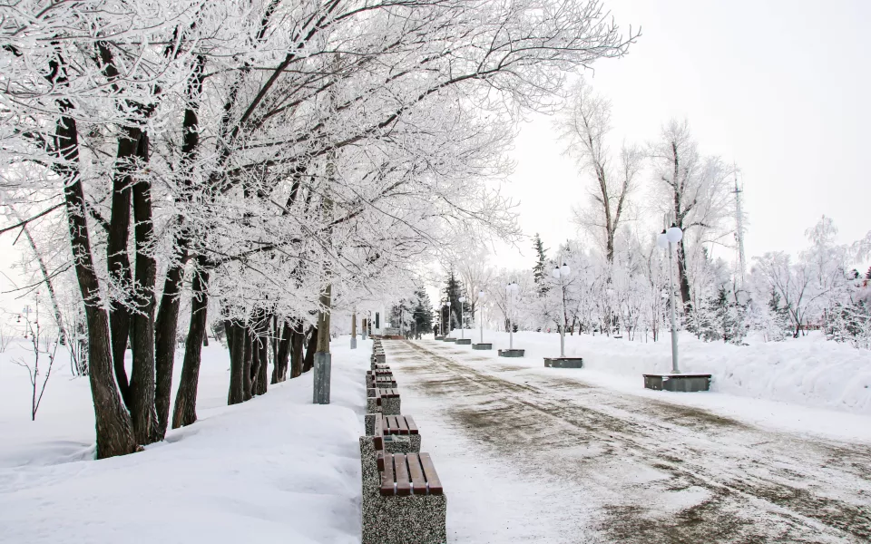 Мороз до -26 градусов ударит по Алтайскому краю 21 ноября