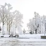 В Алтайский край возвращаются морозы до -35 градусов с северным ветром