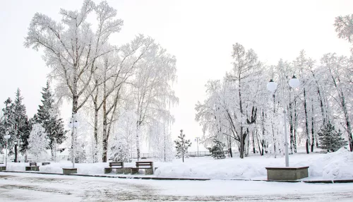Морозы с северным ветром вернулись в Алтайский край 21 января