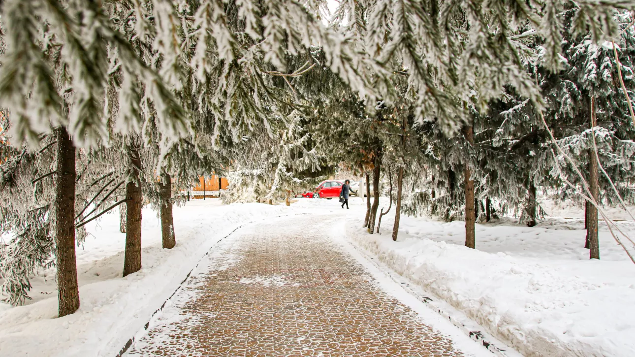 Мартовская оттепель до +8 градусов идет в Алтайский край: когда ждать тепла