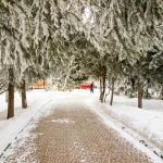 Мартовская оттепель до +8 градусов идет в Алтайский край: когда ждать тепла