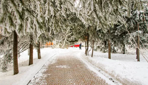Алтайский край 11 января сковали очень сильные морозы