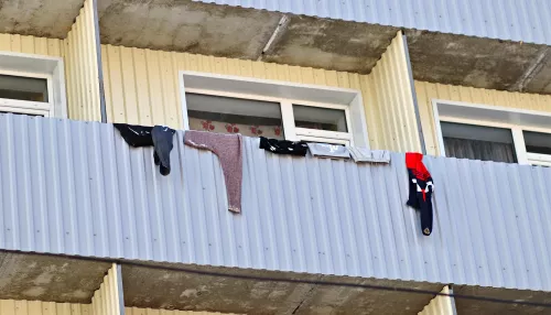 В Алтайском крае женщина в пылу ссоры с мужем едва не выкинула дочь с балкона