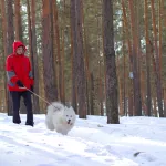 Февраль в Алтайском крае будет морозным и снежным