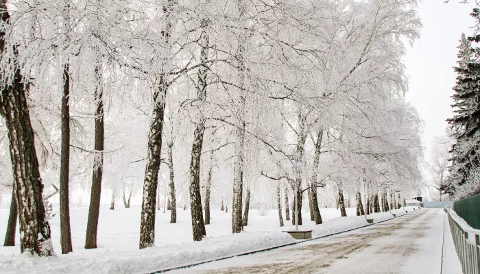 Снег и до -7 градусов ожидается 27 января в Алтайском крае