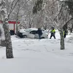 На Павловском тракте автомобиль влетел в дерево возле дороги