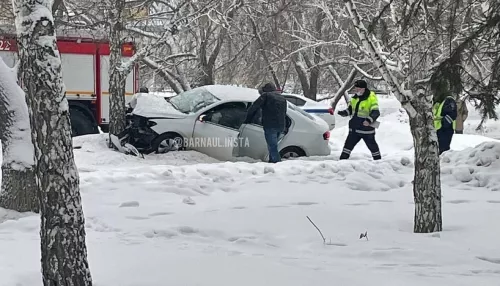 На Павловском тракте автомобиль влетел в дерево возле дороги