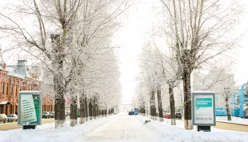 Изморозь и до -17 градусов ожидается 29 января в Алтайском крае