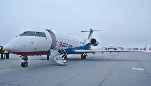 Шесть пассажиров не пустили в самолет Москва-Барнаул