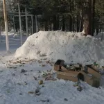 В лесу недалеко от Барнаула военные оставили после себя горы мусора
