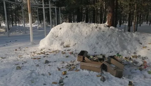 В лесу недалеко от Барнаула военные оставили после себя горы мусора