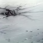 В Новосибирске женщина-курьер провалилась под лед на автомобиле