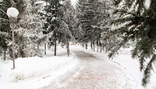 Снег и тепло: какая погода будет 2 марта в Алтайском крае