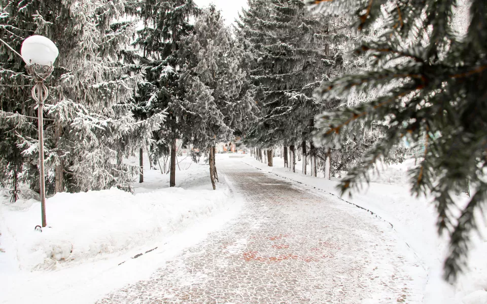 Мороз, туманы и гололед: какая погода будет в Алтайском крае 24 декабря