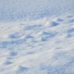 Сибирячка с подругой забила кувалдой сына и закопала его тело в сугробе