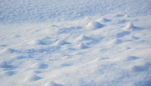 В Ленобласти годовалая девочка поела снег и попала в реанимацию