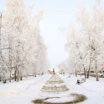 Февраль в Алтайском крае начнется с температурных качелей от -26 до -2 градусов